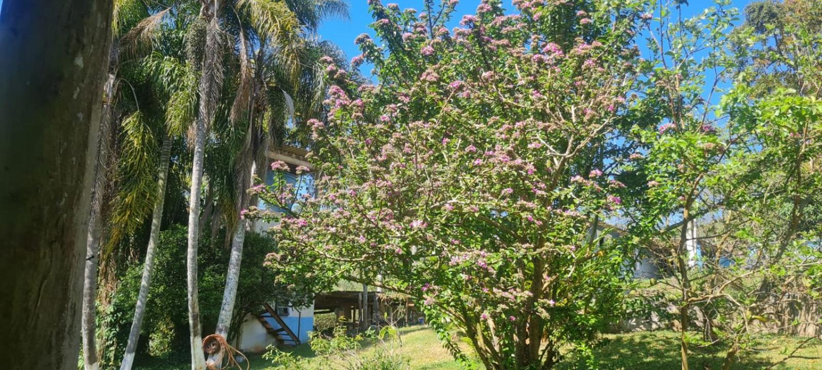 Sitio Ilha Da Madeira Villa Sao Roque  Ngoại thất bức ảnh